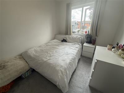 Picture 22